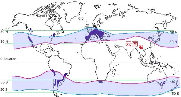 Latitude Map