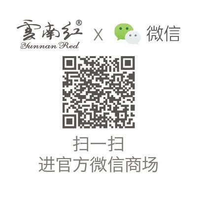 WeChat QR Code